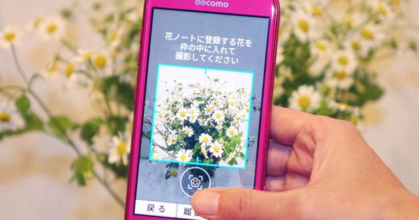 スマホなしシニア 3000万人を狙うドコモの秘策 知ってトクするモバイルライフ 石野純也 毎日新聞 経済プレミア