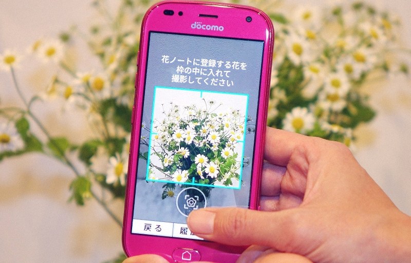 NTTドコモの「らくらくスマートフォン ミー」。花の種類を識別する機能を搭載