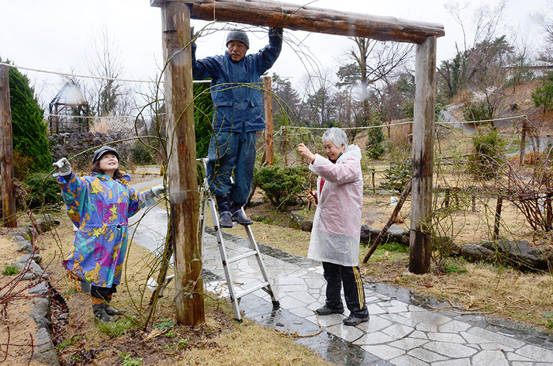 東日本大震災８年 廃園の福島 双葉ばら園再現 鎮魂 心込め手入れ 氷見あいやまガーデン 富山 毎日新聞