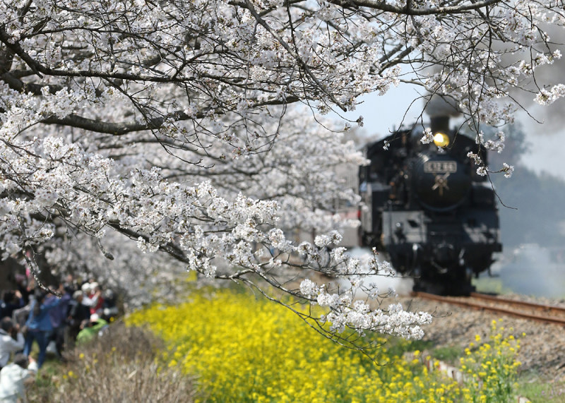 SL：動態保存中の蒸気機関車たち [写真特集14/21] | 毎日新聞