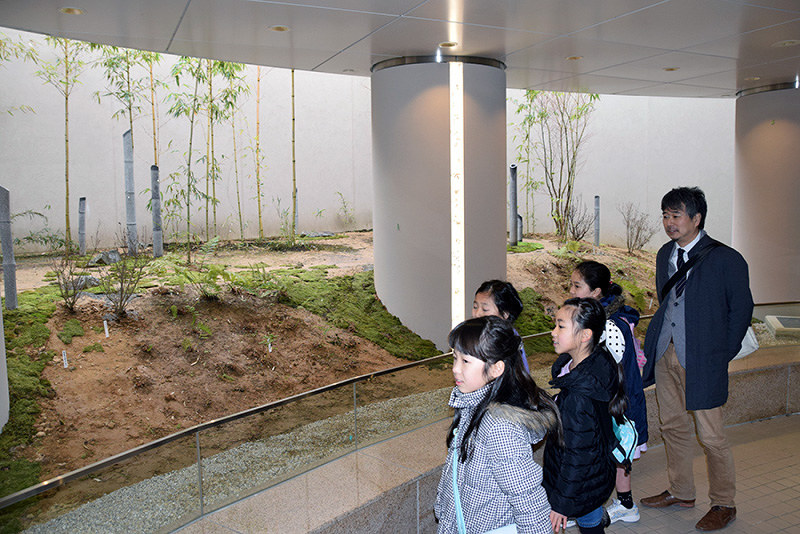 リニューアルオープンした庭園を眺める金沢美術工芸大の高橋治希准教授(右端)ら=金沢市広岡1で、久木田照子撮影