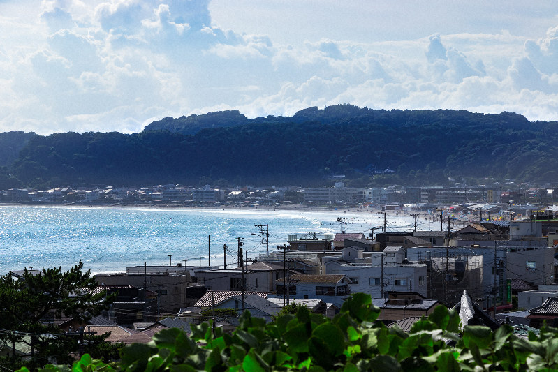 鎌倉で生きる4姉妹の「家族を取り戻す物語」  医をめぐる情景  上田 