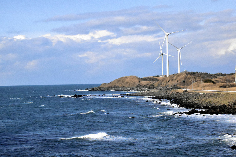 沿岸部の陸上に設置された風力発電用の風車=秋田県にかほ市金浦で