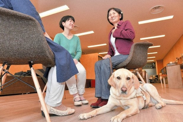 all dogs have their day