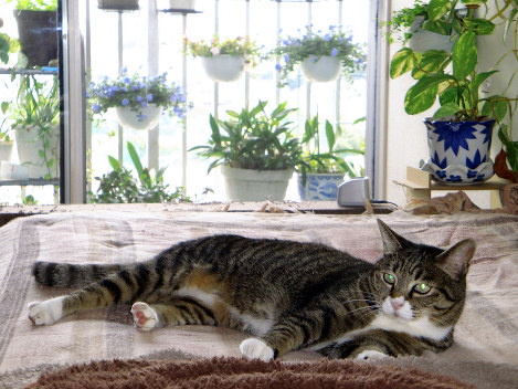 最期は必ずそばにいるからね