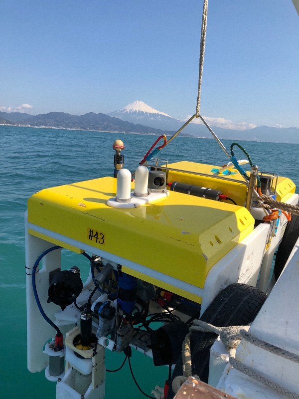 大学倶楽部・東海大：研究チーム、ロボットで駿河湾の生物調査