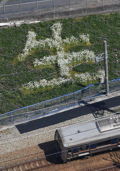 JR福知山線脱線事故の現場近くの畑に花で描かれた「生」の文字＝兵庫県尼崎市で2019年4月9日午後1時33分、本社ヘリから山崎一輝撮影