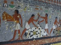 ウシを解体し、その肉を運ぶ人々を描いた壁画＝エジプト北部サッカラで2019年4月13日、篠田航一撮影