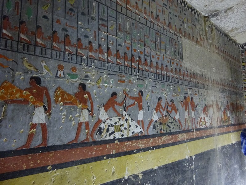 よみがえる4400年前の色鮮やか壁画 エジプト [写真特集13/12] | 毎日新聞