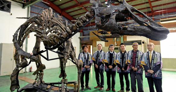 これが「むかわ竜」 全身復元骨格標本を公開 212個の化石から 北海道