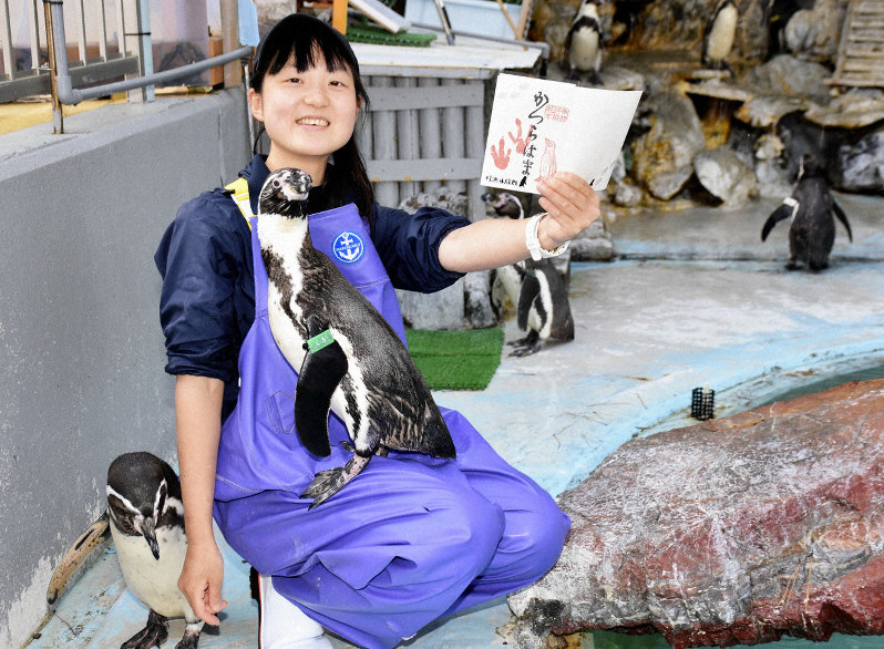 御朱印帳を掲げ、来園を呼び掛ける波田椎奈さん=高知市浦戸の桂浜水族館で、松原由佳撮影