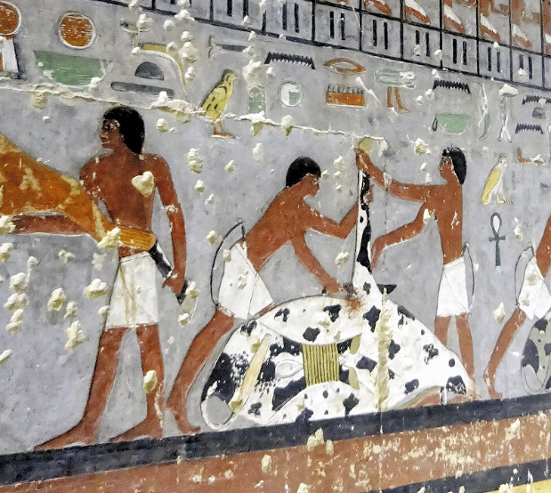 ニュースのことば：エジプト | 毎日新聞