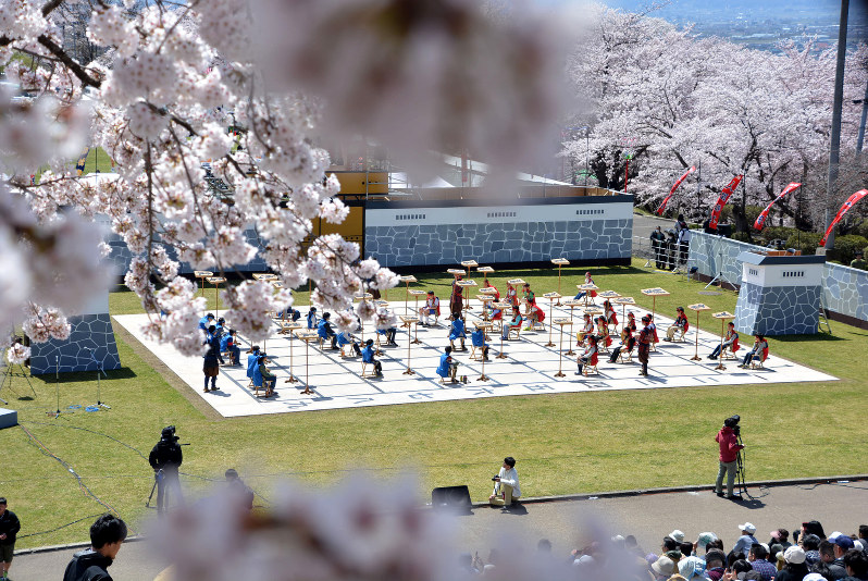 満開の桜の下で人間将棋 5万4000人が観戦 山形・天童 [写真特集2/3