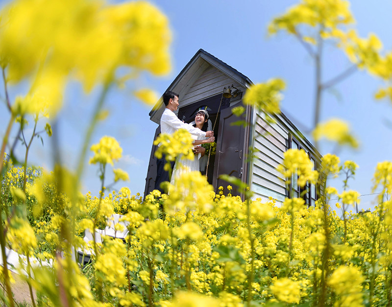 菜の花畑で結婚式を挙げ鐘を鳴らす夫婦=神戸市西区で、猪飼健史撮影