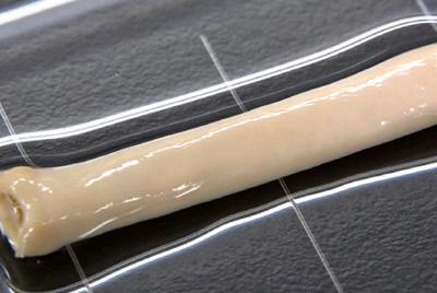 バイオ3Dプリンターで作った人工血管＝中山功一・佐賀大教授提供