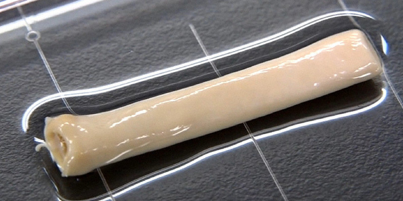 バイオ3Dプリンターで作った人工血管=中山功一・佐賀大教授提供