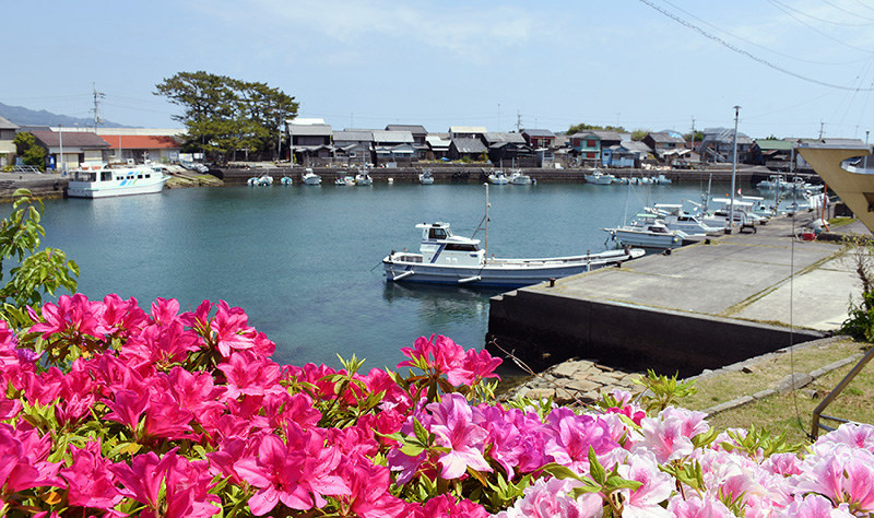 明治から昭和初期の民家が建ち並ぶ出羽島の集落=徳島県牟岐町で、大坂和也撮影