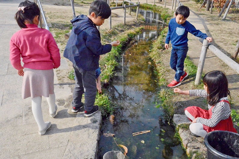 芦屋川・遠近:写真家・長島義明/45 ザリガニ釣り 生命の営み感じて