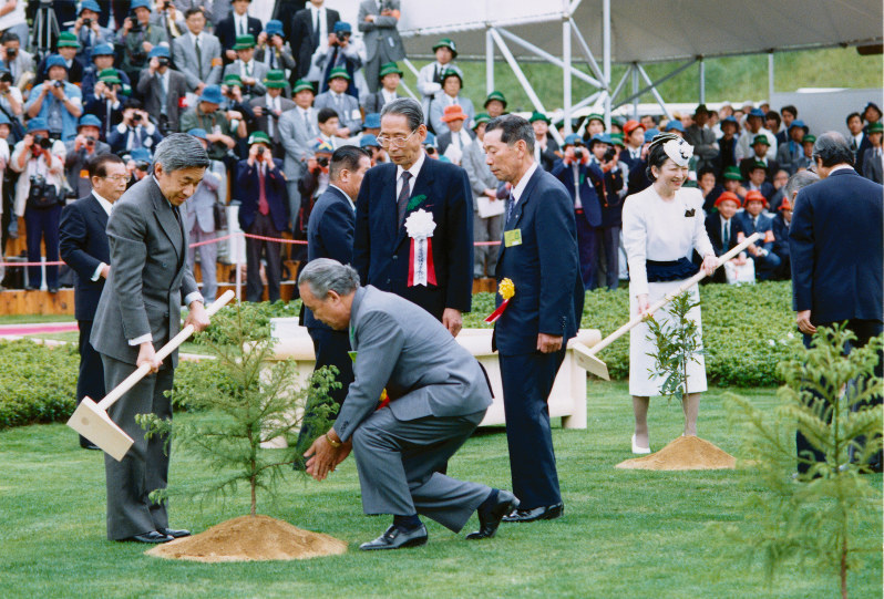 上皇さまが植えた杉、鮮やかな緑の葉つけ [写真特集5/4] | 毎日新聞