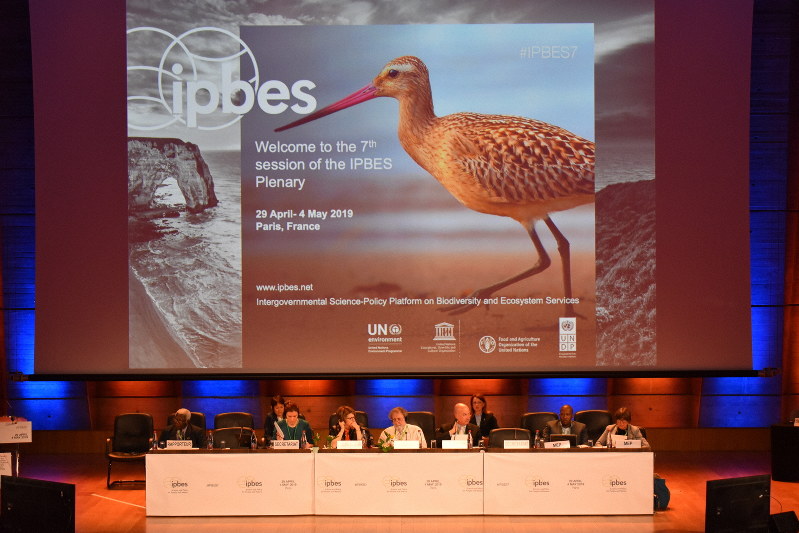 4月29日~5月4日にパリで開催されたIPBES総会で、生物多様性などに関する初の地球規模報告書が承認された=IPBES事務局提供