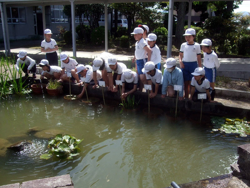 山田小19年度 ５月報告 掃除しました 毎日新聞