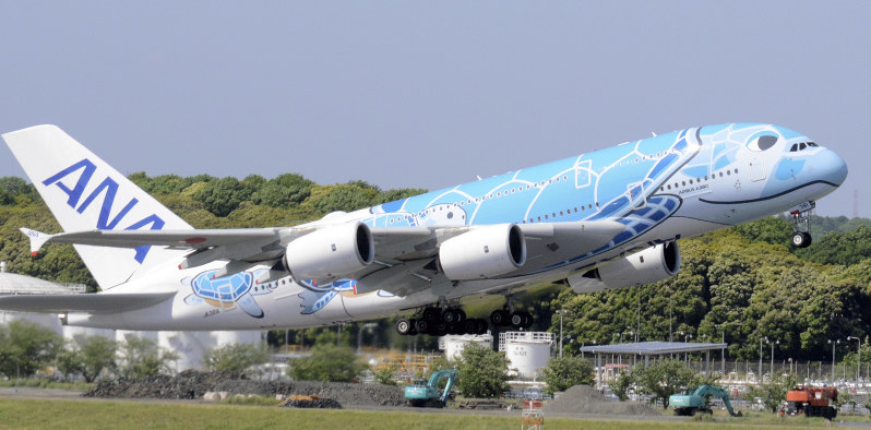 日本航空 嵐ｊｅｔ ドル箱ハワイ線 熱い戦い 特別塗装機に 夢乗せ 空飛ぶウミガメ で全日空対抗 千葉 毎日新聞