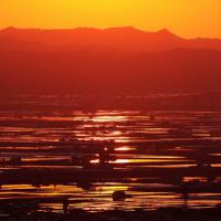 夕焼け田植え 真っ赤な空知 [写真特集1/3] | 毎日新聞