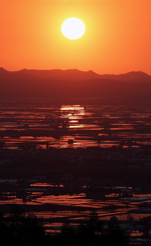 夕焼け田植え 真っ赤な空知 [写真特集3/3] | 毎日新聞