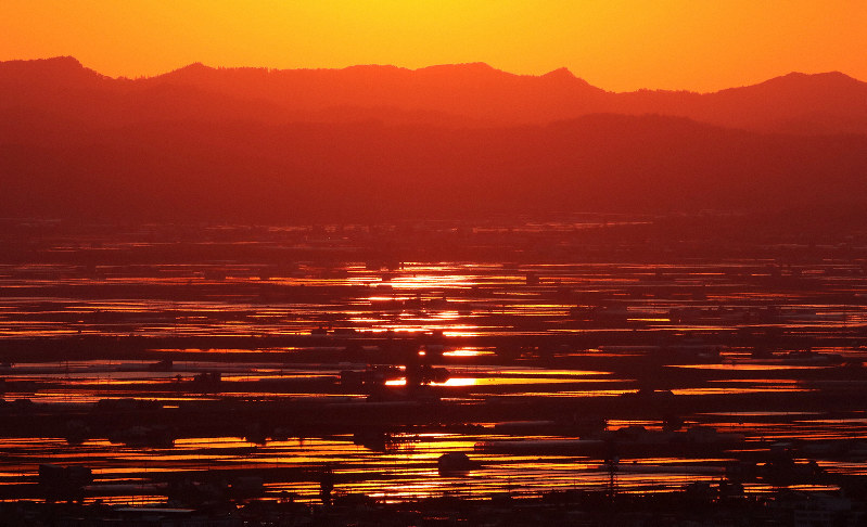 夕焼け田植え 真っ赤な空知 | 毎日新聞
