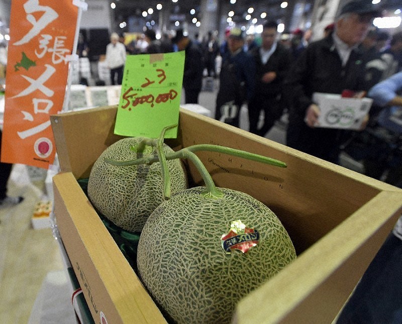 Pair of prized melons fetches recordhigh 5 million yen at Sapporo