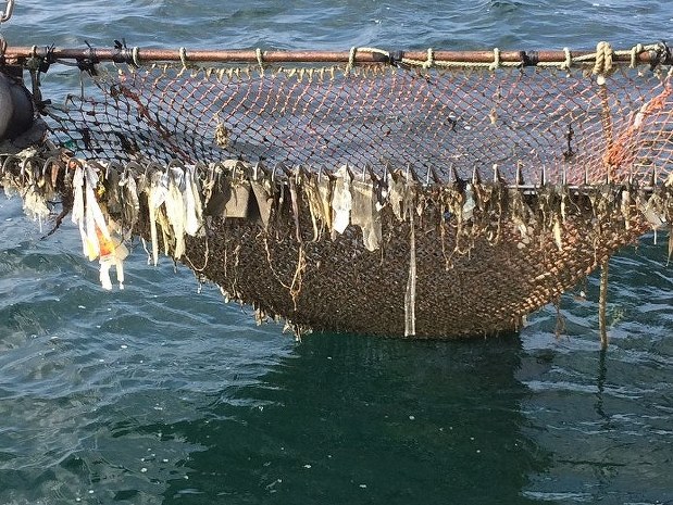 大阪湾の底引き網に引っかかったビニールシートやレジ袋=関西広域連合提供
