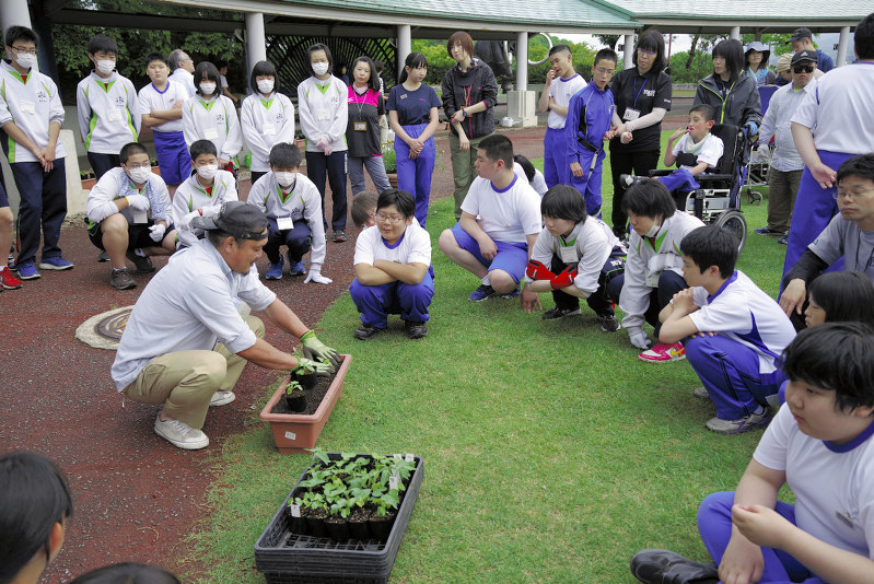 造園業者からアサガオの苗の植え方の指導を受ける生徒たち=秋田県横手市で