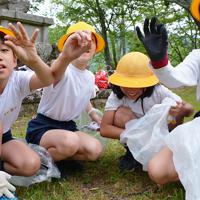 サクランボ拾いをする吉野小の4年生たち＝奈良県吉野町の吉野山で、萱原健一撮影