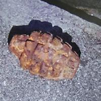 沖縄県宜野湾市で児童らが発見した手投げ弾（沖縄県警提供）