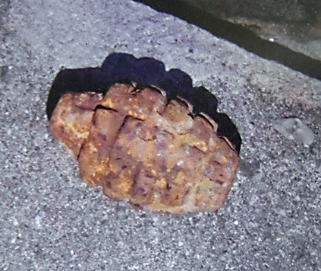 沖縄県宜野湾市で児童らが発見した手投げ弾(沖縄県警提供)