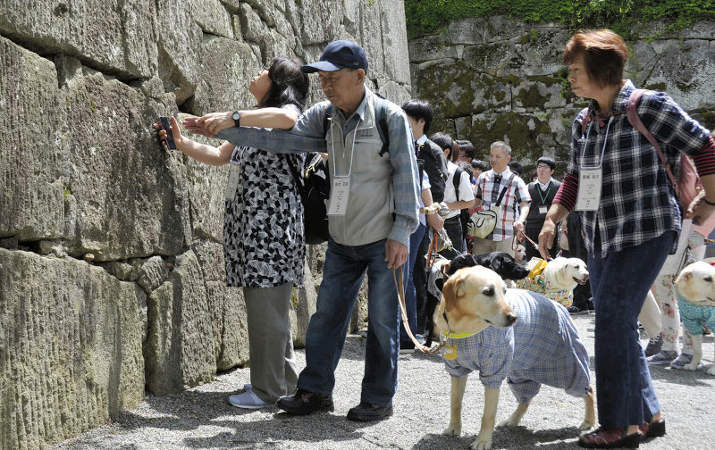 盲導犬と一緒に鶴ケ城公園を訪れ、石垣に触れる視覚障害者ら=福島県会津若松市で