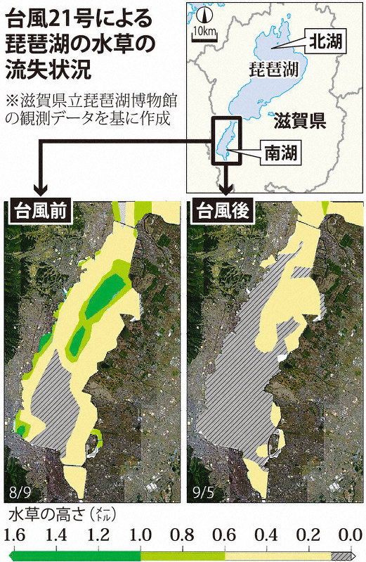 台風21号による琵琶湖の水草の流失状況