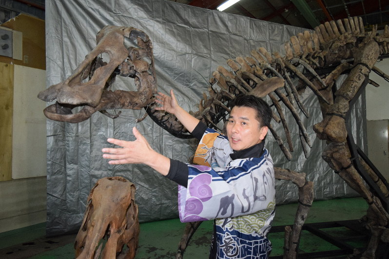 むかわ竜 新属新種の可能性 北大チーム 21日学会発表 毎日新聞