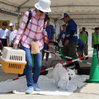 ペット同行の避難訓練をする住民＝岐阜県羽島市の市立中央中学校で2018年5月27日（渡辺英毅さん提供）