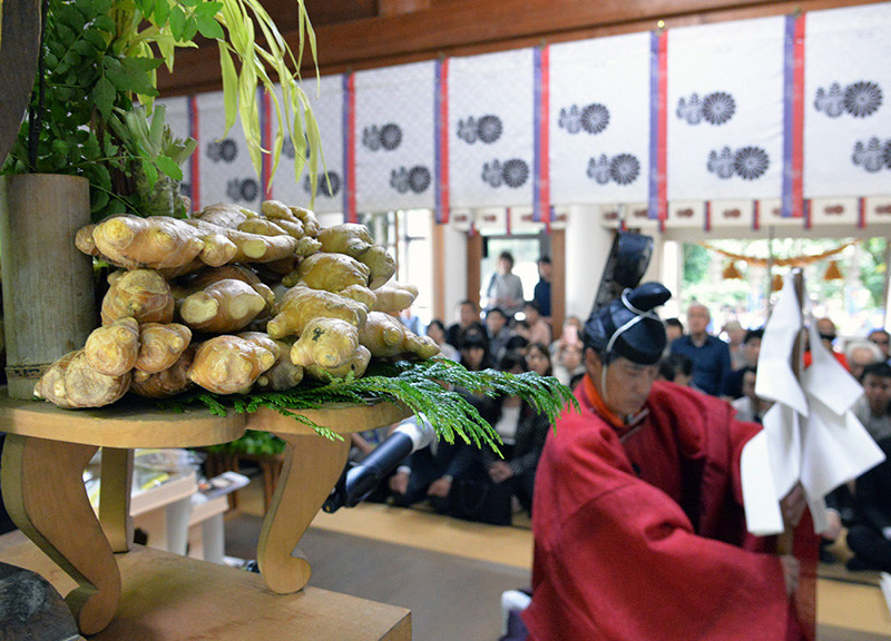 生姜や山葵などを盛りつけた特殊な供え物がささげられた=金沢市花園八幡町の波自加彌神社で、阿部弘賢撮影