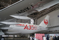 The rear half of Japan Airlines Co.'s new Airbus A350-900 passenger plane is seen in a hangar at Tokyo's Haneda Airport on June 20, 2019. (Mainichi/Masamitsu Kurokawa)