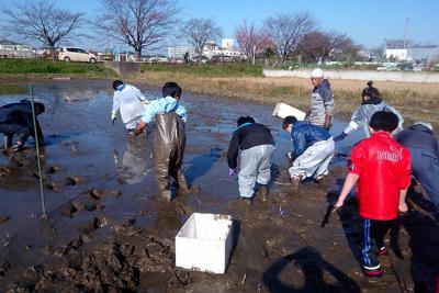 昨年の「子ども大学」でクワイ掘りをする参加者たち