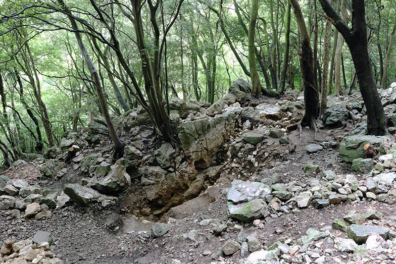 文化審議会が国史跡への指定を答申した「若杉山辰砂採掘遺跡」の露天掘り跡=徳島県阿南市提供