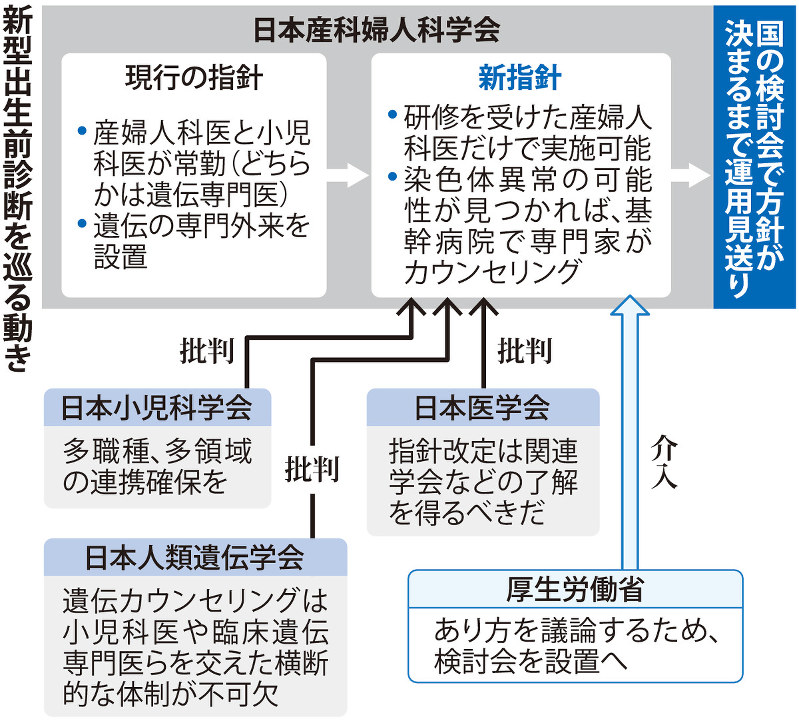 新型出生前診断を巡る動き