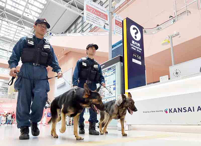 警備犬 そのにおいにロックオン ｇワン２０１９ ｇ２０ 出動 関空や港で水際対策 人混み警戒も任せて 毎日新聞