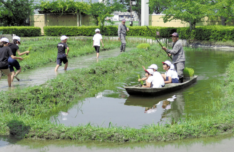 田植え 木舟にも乗って 堀田 で 海津の３校児童 岐阜 毎日新聞
