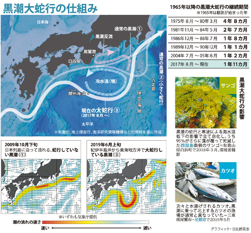 科学の森 続く黒潮大蛇行 影響は １２年ぶり発生 ３番目の長さに 毎日新聞