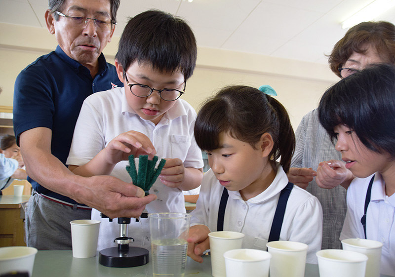 スポンジに産みつけられたメダカの卵を観察する児童と、「めだかの学校」のメンバー=三重県名張市桔梗が丘5の市立桔梗が丘南小で、久木田照子撮影