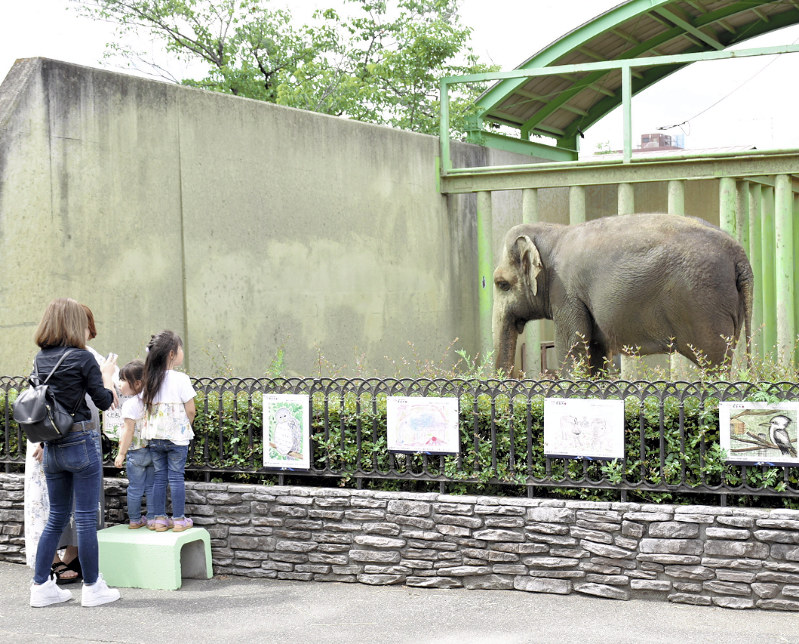 甲府市遊亀公園付属動物園 基金創設へ市民奔走 きょう第１弾イベント 居住環境改善目指し 山梨 毎日新聞