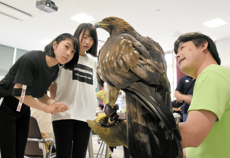 飼育員の手に止まったイヌワシに見入るツアー参加者(左)=秋田市浜田の大森山動物園で